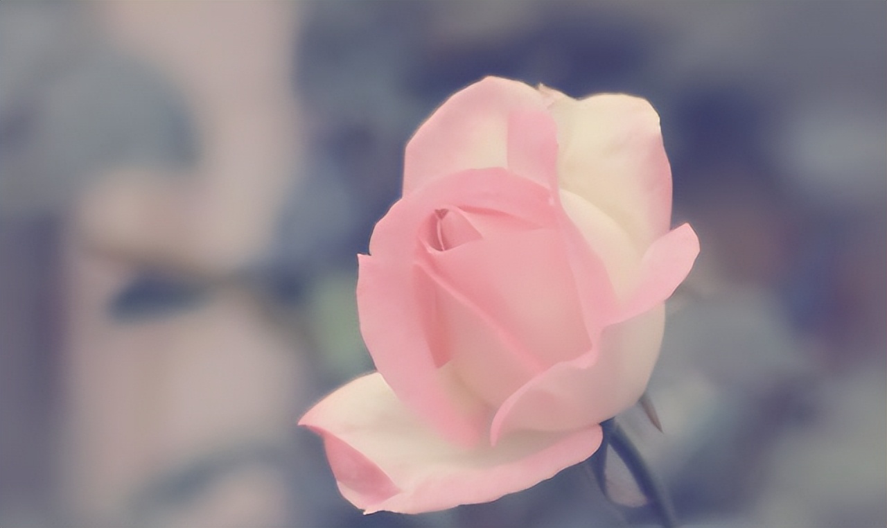 情人相处如何才能长久,情人相处怎么样才不累