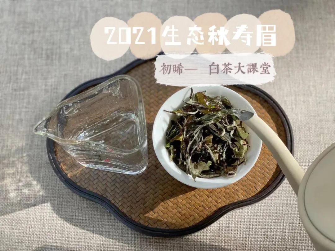 泡茶用盖碗怎么防烫手,泡茶用盖碗好还是不烫手好