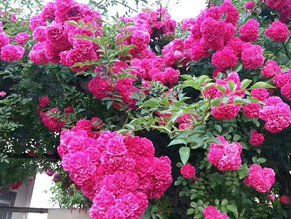 云南绝美十大仙境,云南发现真正的世外桃源