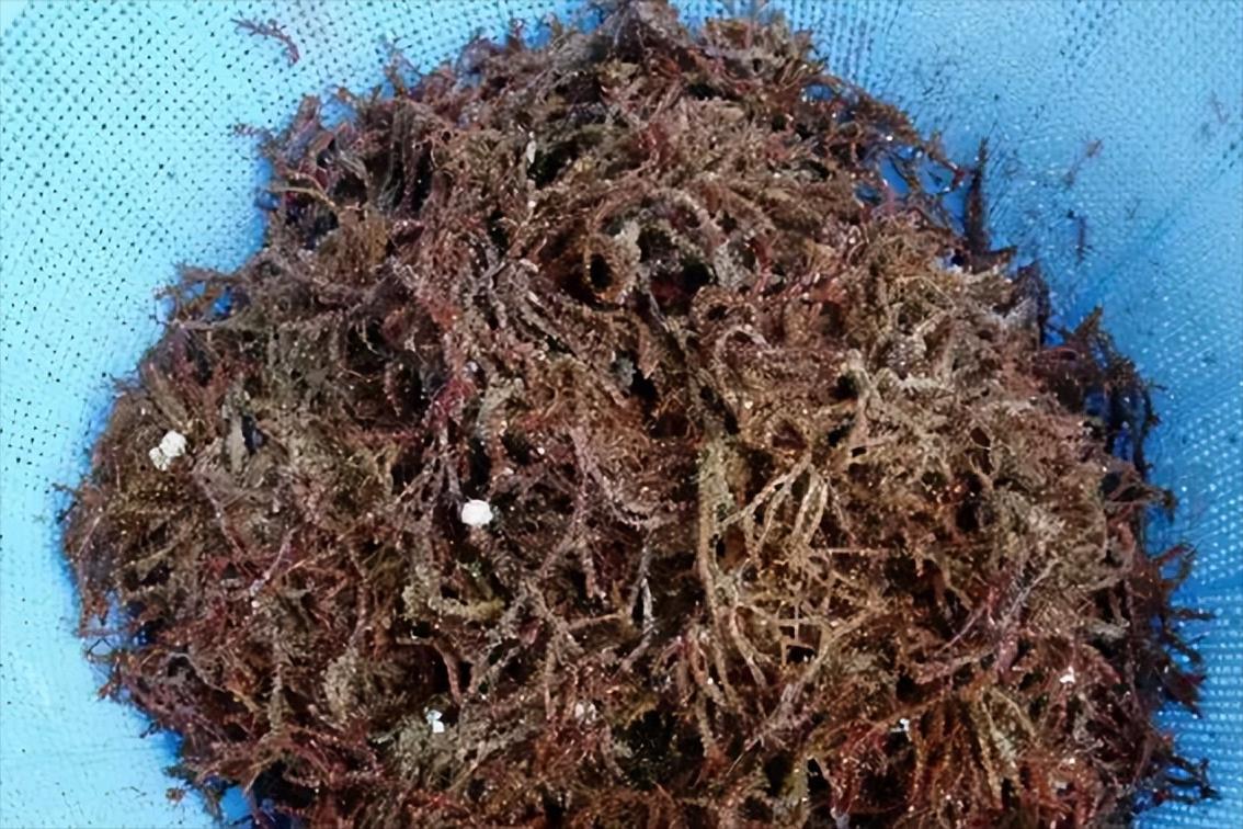 白手起家，进军地产业，“楼花”之父霍英东的传奇商业史