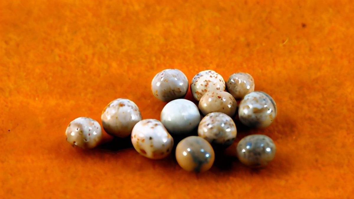 高僧体内的舍利子是怎样形成的,高僧舍利子怎么形成的科学解释