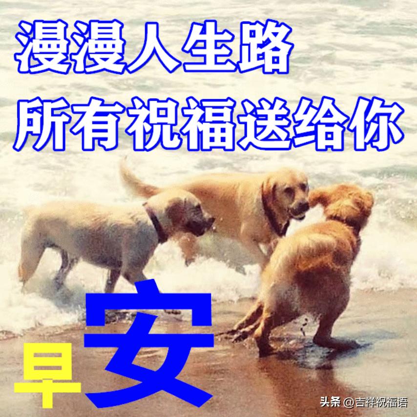 早上好表情包纯文字,夏日最新早上好表情包