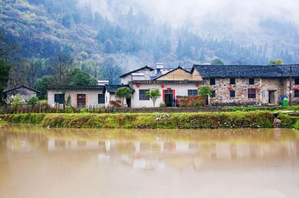 跟着chatgpt学习,跟着chatGPT学知识