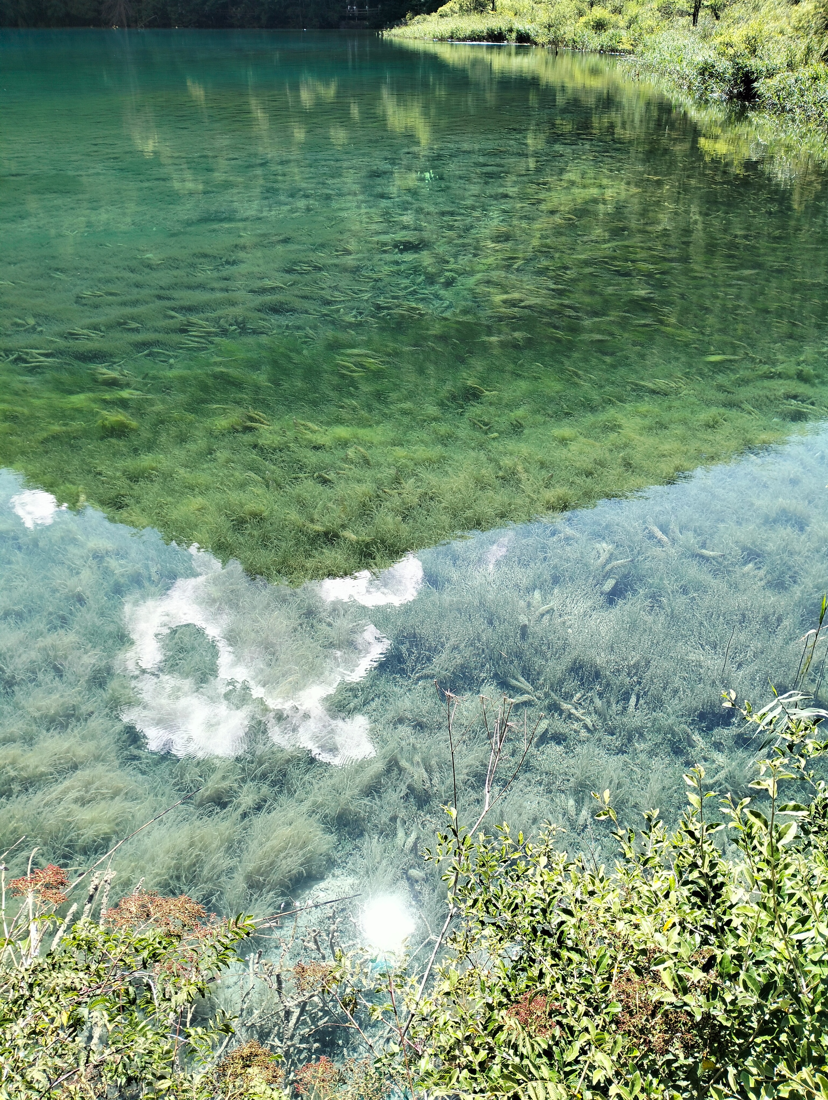 九寨沟一年四季都有雪山吗,九寨沟一年四季都开放吗