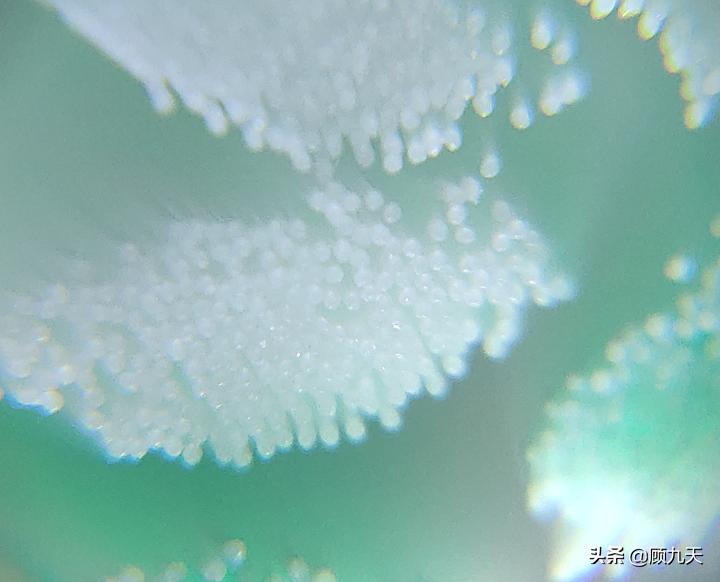 电动牙刷推荐飞利浦hx6730,电动牙刷飞利浦测评