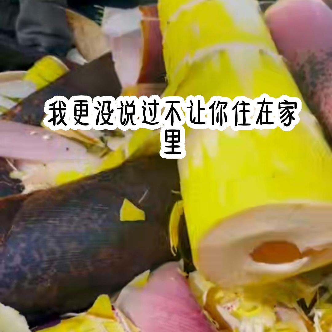 📖茗:一向不负#看了不后悔系列