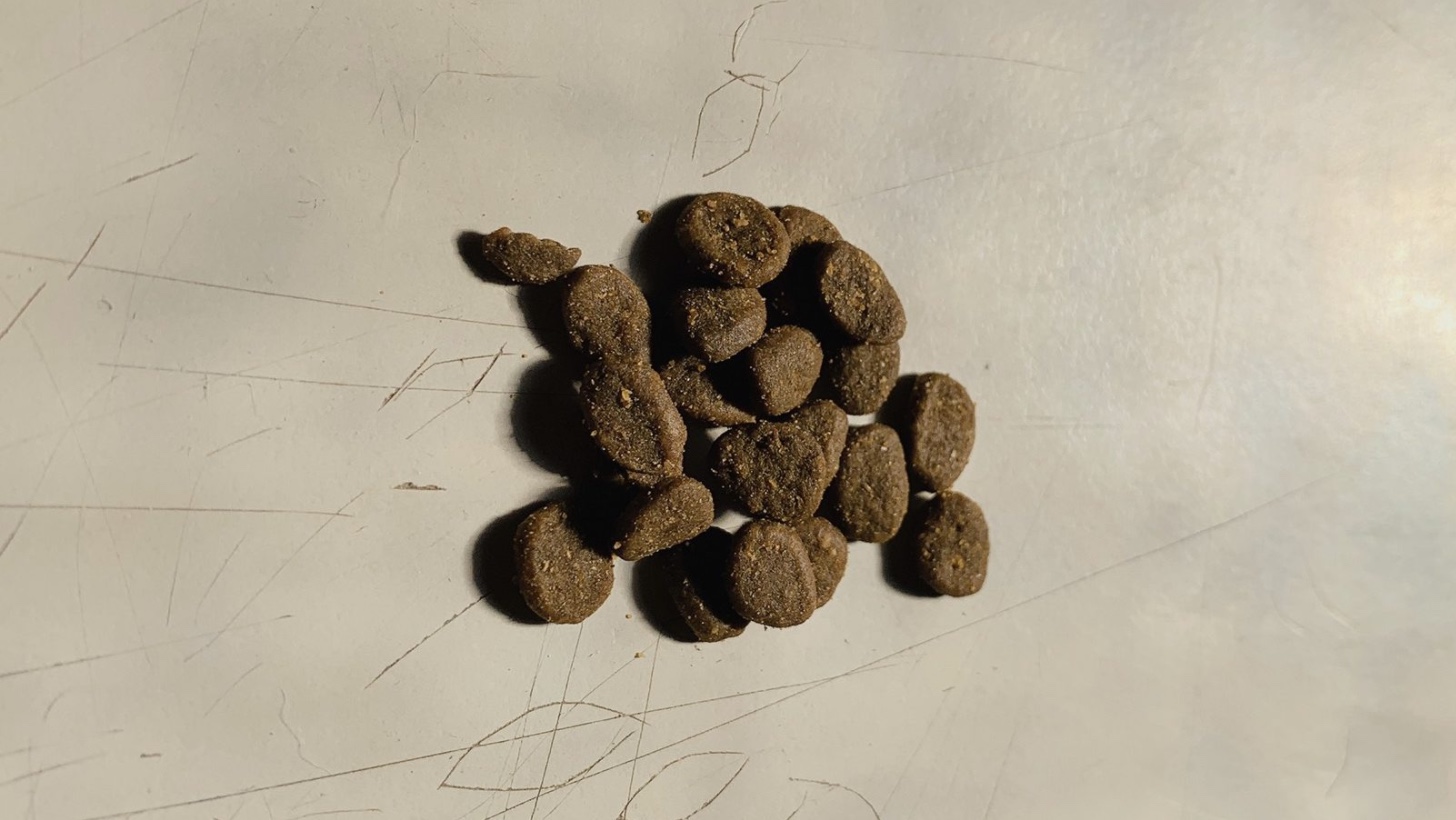 美仕唐纳滋罐头怎么样,美仕唐纳滋怎么样