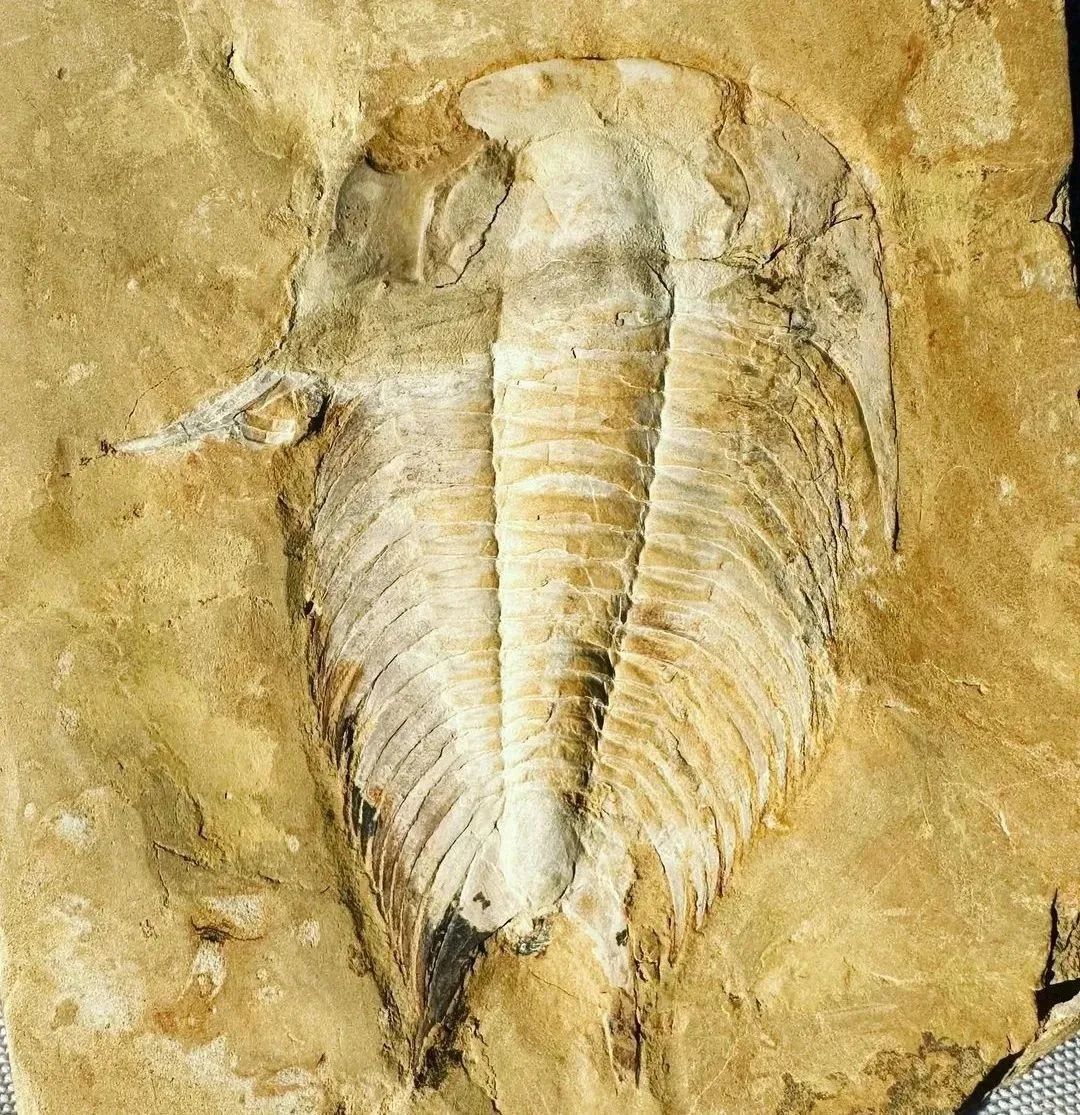 地球简史书籍完整版,地球简史46亿年的奇迹