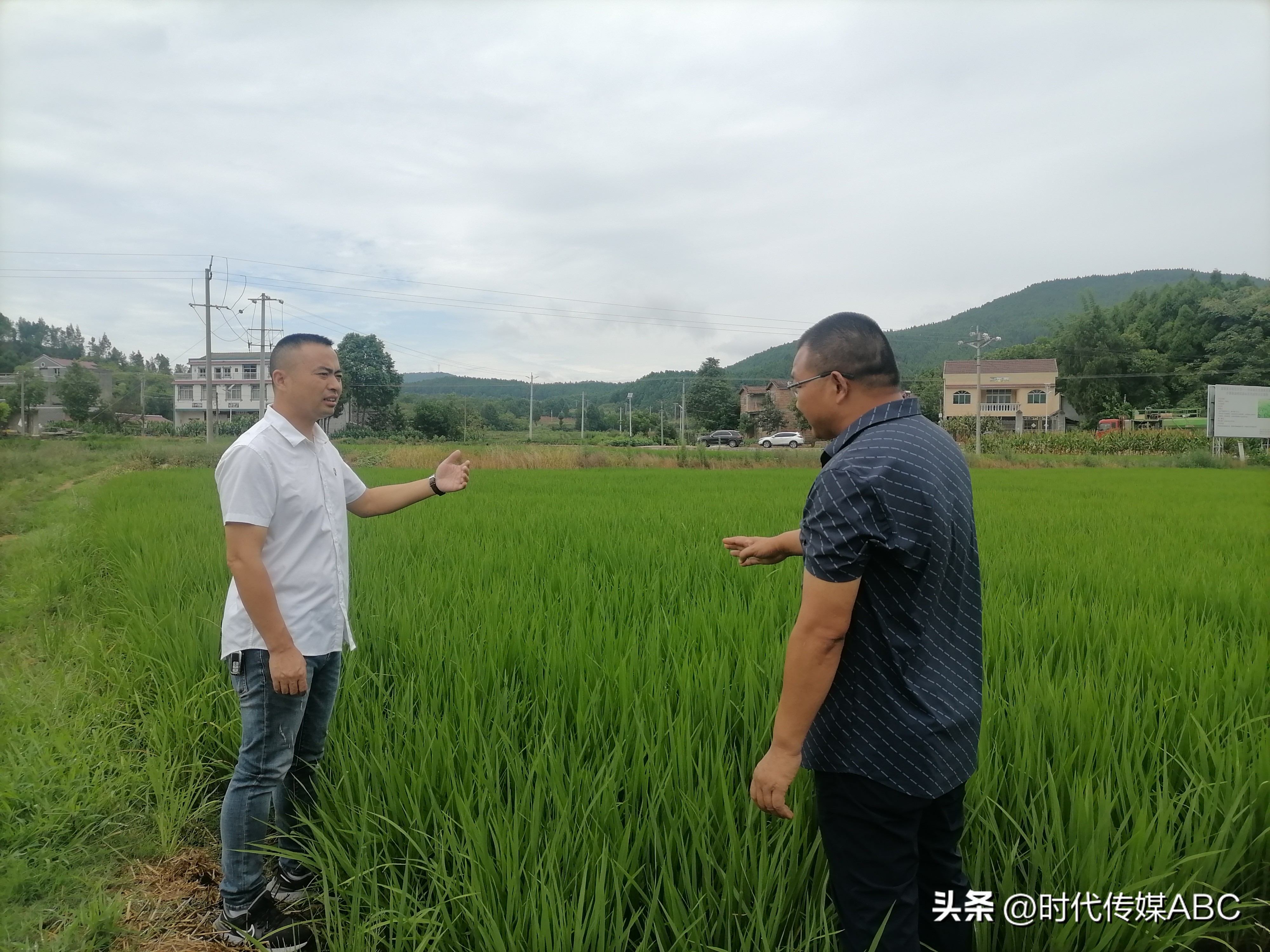 乡村振兴领头雁群众致富引路人,乡村振兴村民致富领头雁