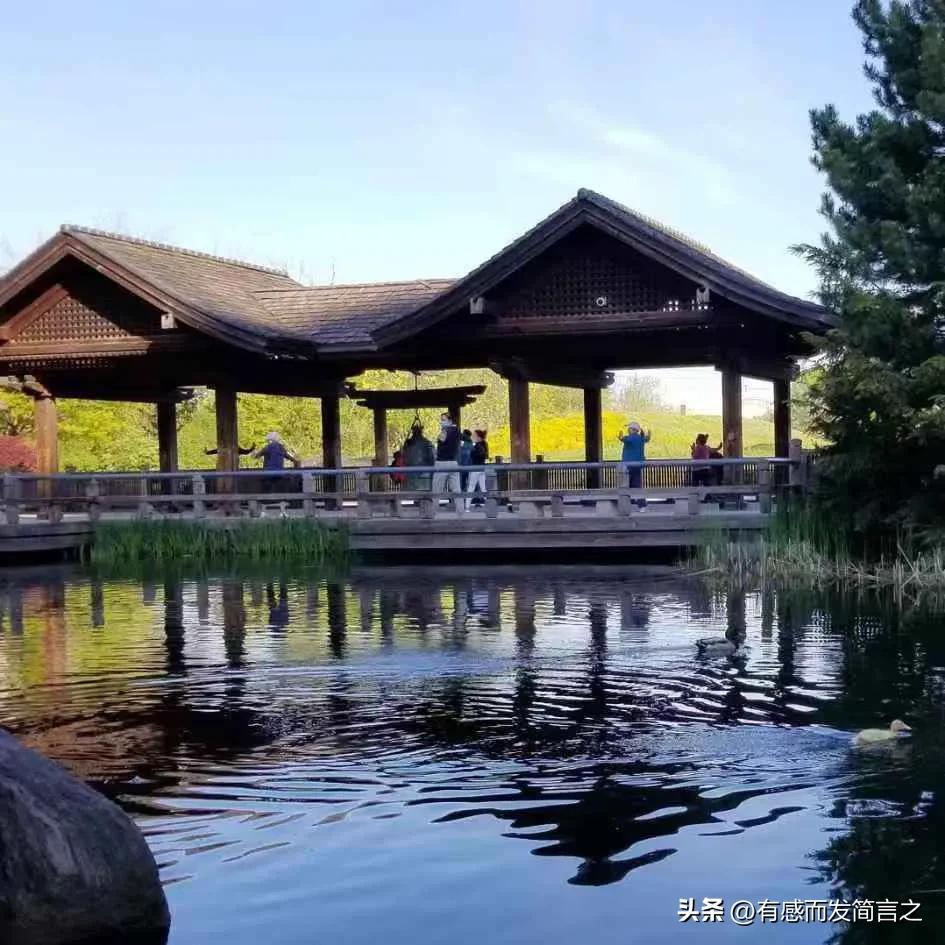 看剧公众号,看漫画公众号