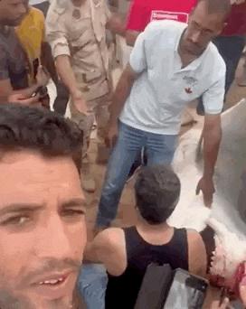 俄罗斯男子在海边被鲨鱼咬死,俄罗斯男子被鲨鱼咬死鲨鱼被捕