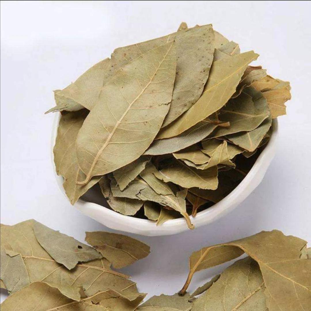 调味香叶是什么树的叶子,大料里的香叶是什么植物的叶子