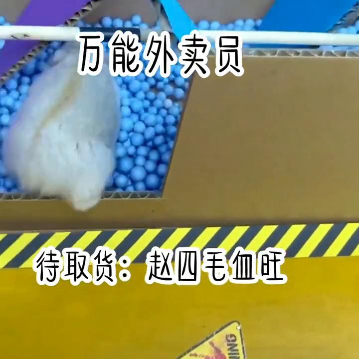 点赞评论关注精彩不断,关注点赞每日分享热门小说