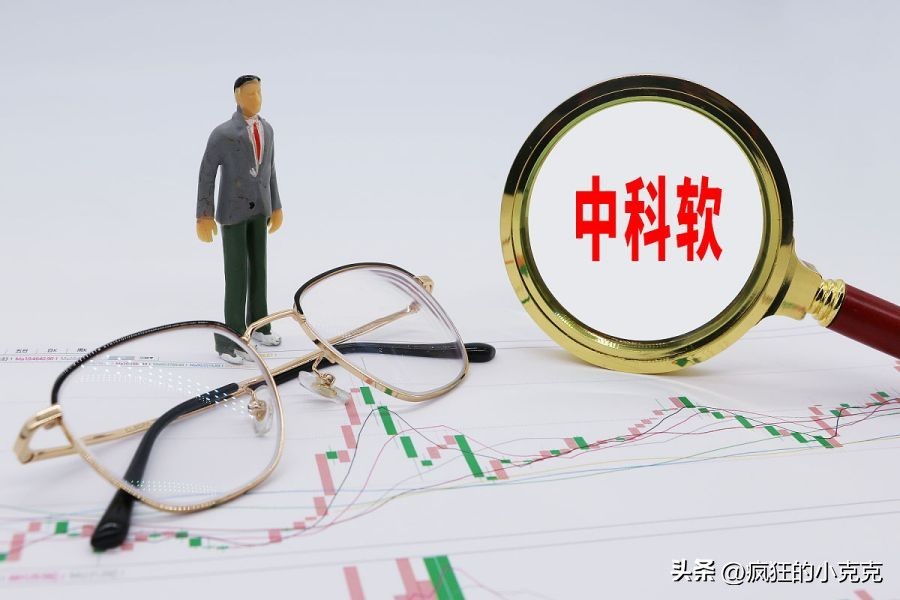 中科软——软件行业的璀璨明星，未来增长的无尽源泉