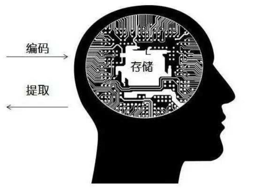人类的大脑到底有多强大,人类的大脑是多少g的内存