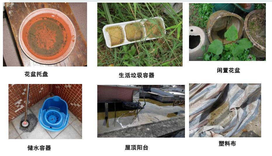 预防控制登革热最佳的措施是灭蚊,登革热的症状及预防措施