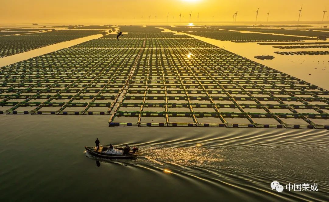 2023鑽ｆ垚鏂囨梾娲诲姩,鑽ｆ垚鐗圭鍏典竴鏃ユ父