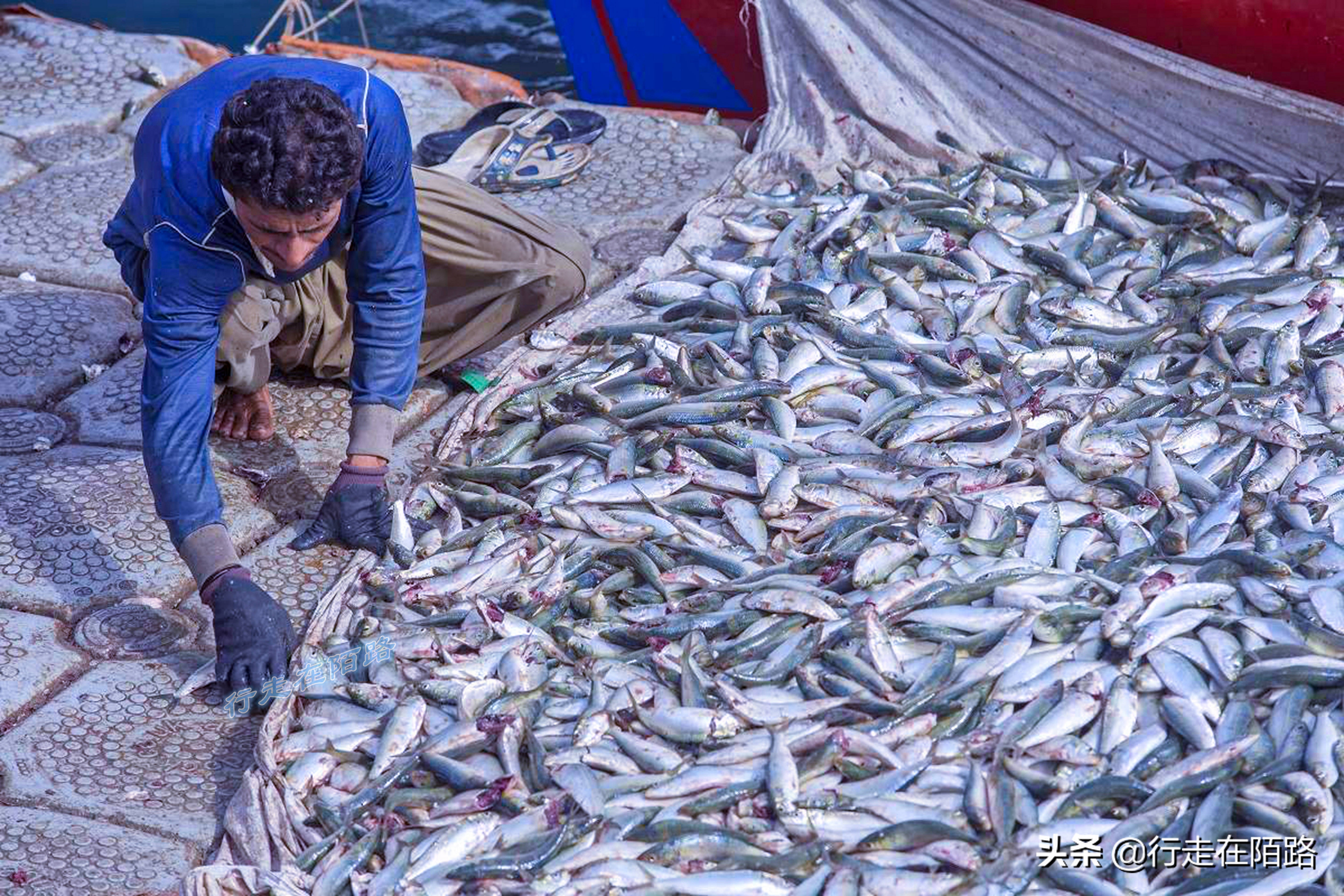 瓜达尔港为什么给新加坡运营,瓜达尔港40年运营权