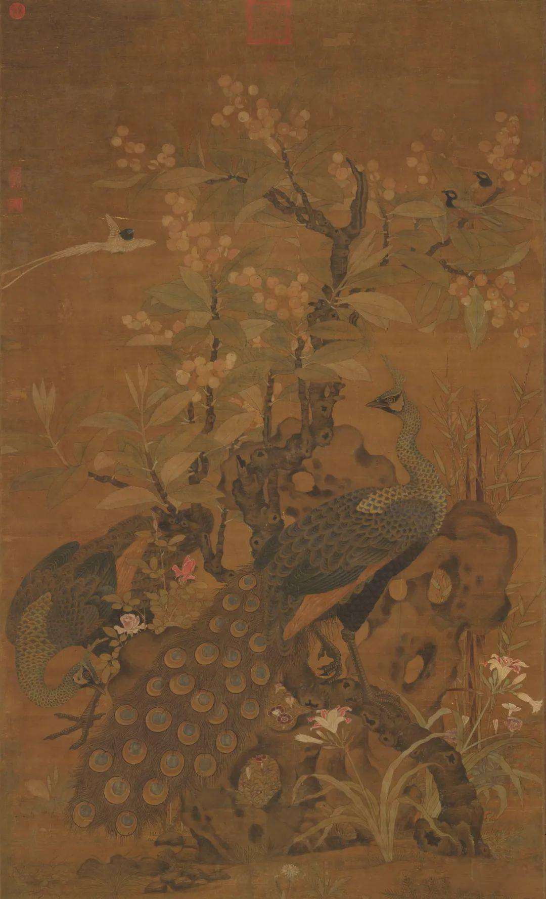 鸡窝真能飞出“凤凰”！安徽居民家中惊现大鸟，专家竟认错物种？