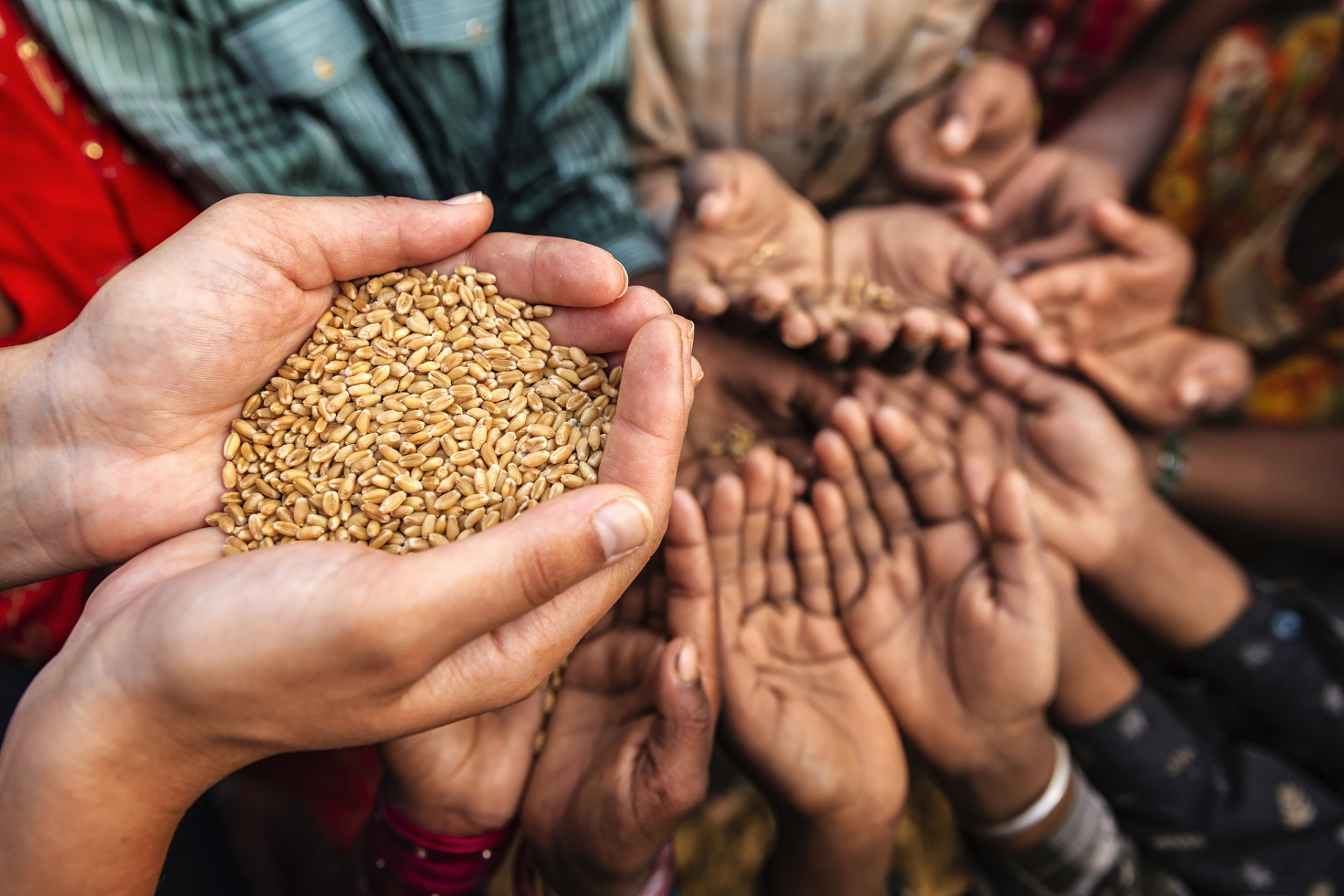 农民在荒地种菜被政府铲除,湖南农田种姜被铲后续