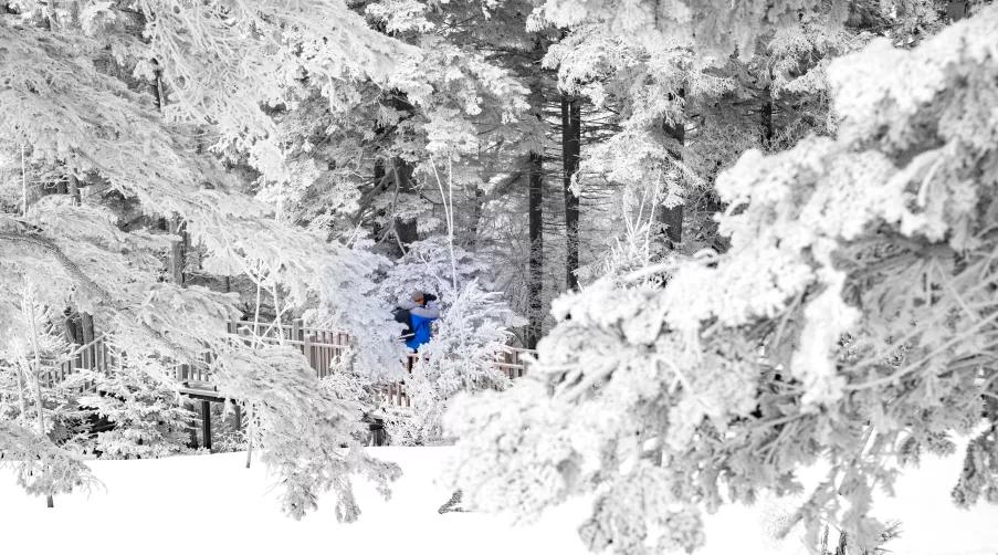 长白山冰雪旅游季,长白山冰雪旅游发布会