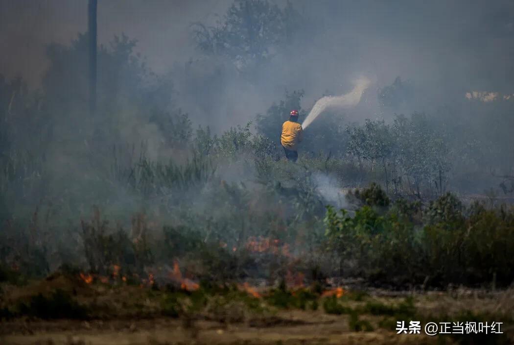 世界第三差！多伦多空气污染超过所有中国污染城市
