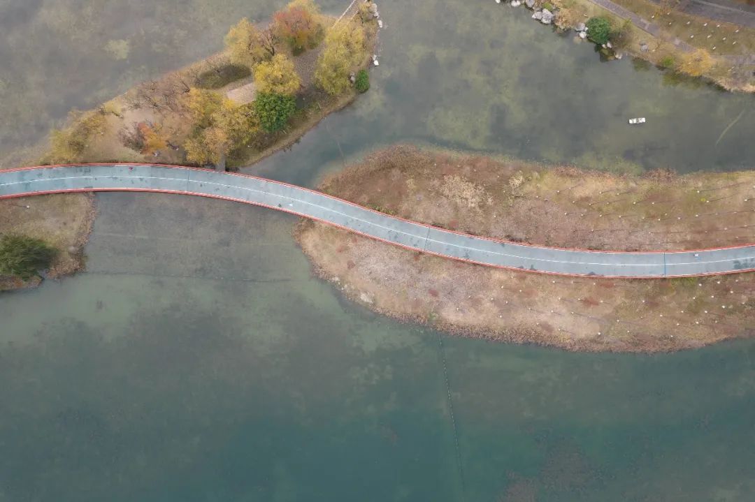 10个城市宝藏,成都还有哪些宝藏公园