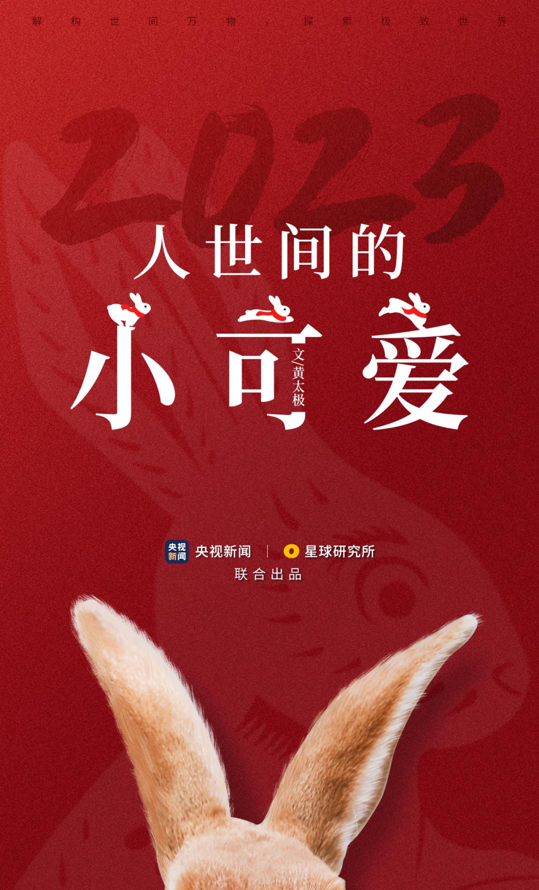 兔年来了,兔年来了怎么样