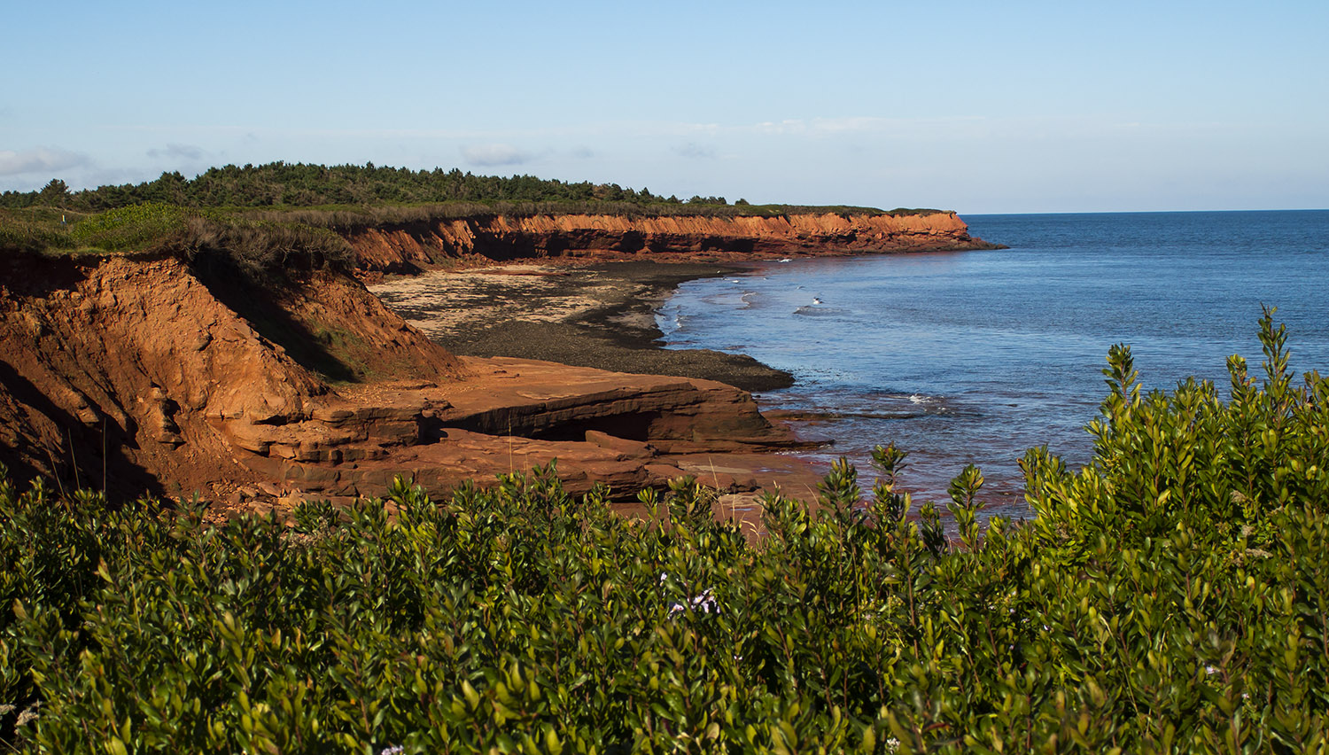加拿大爱德华王子岛视频,爱德华王子岛游记攻略