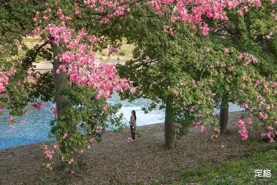 十大风景最美的湖泊排行榜,深圳风景美丽的湖泊