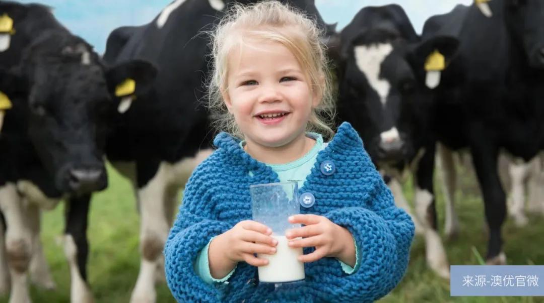 飞鹤最新事情,飞鹤困局