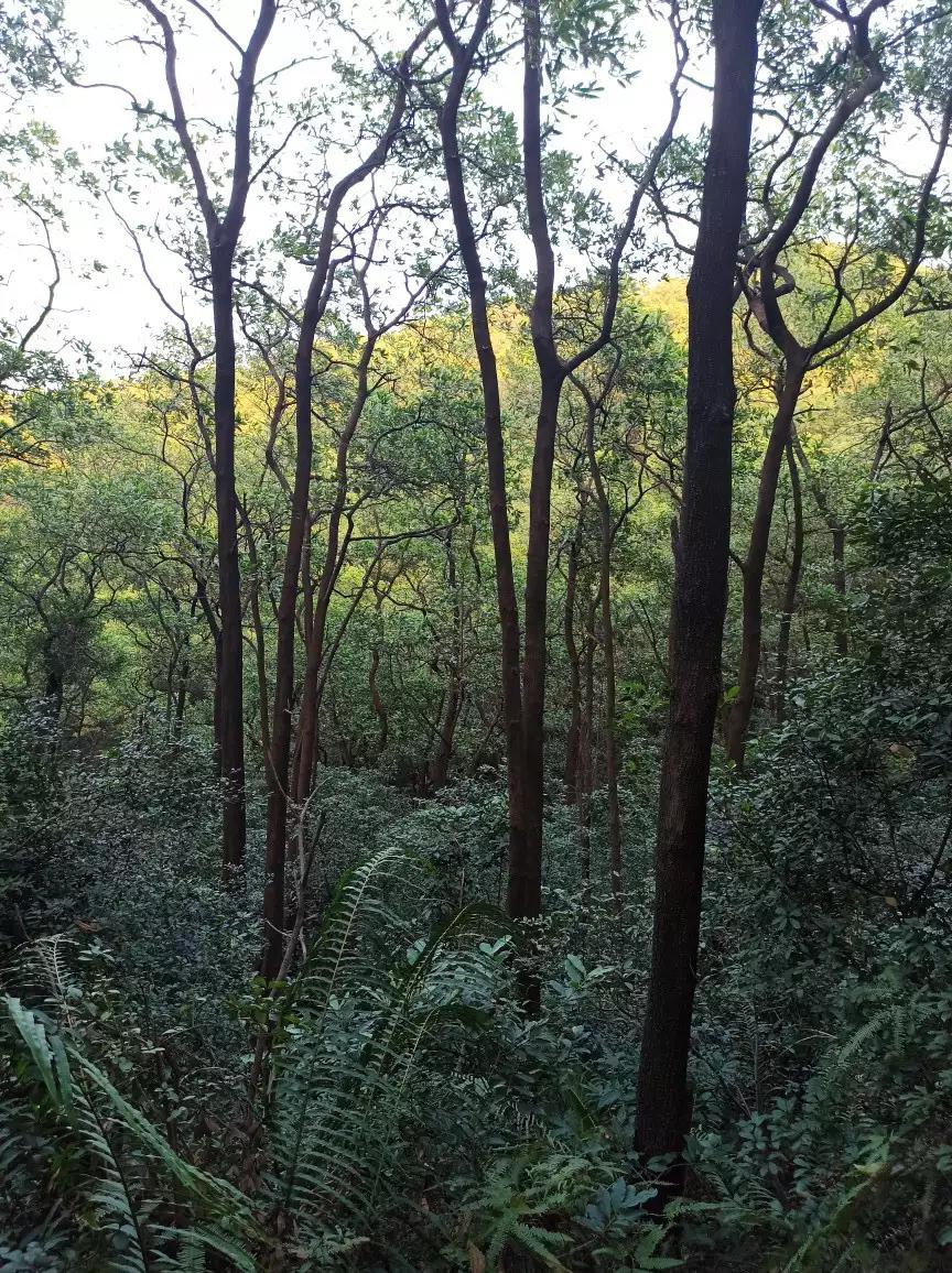 白云山适合徒步吗,一路徒步上白云山