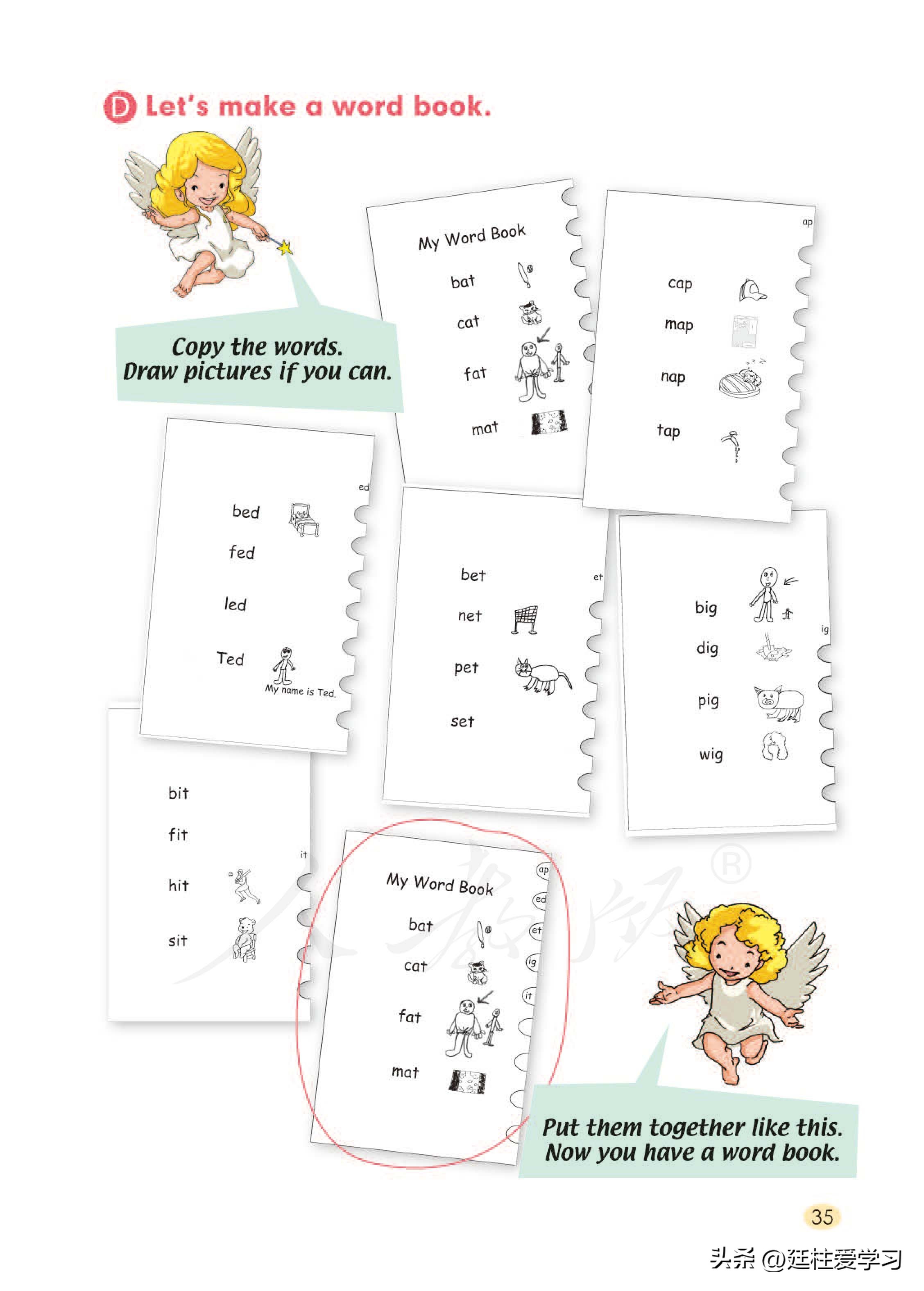 小学英语外研版三年级上册,小学英语精通版三年级上册