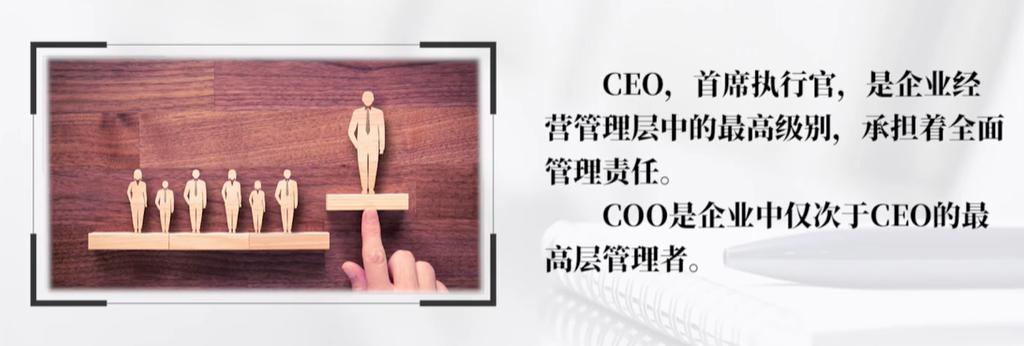 公司coo是啥职位,企业的coo是什么意思