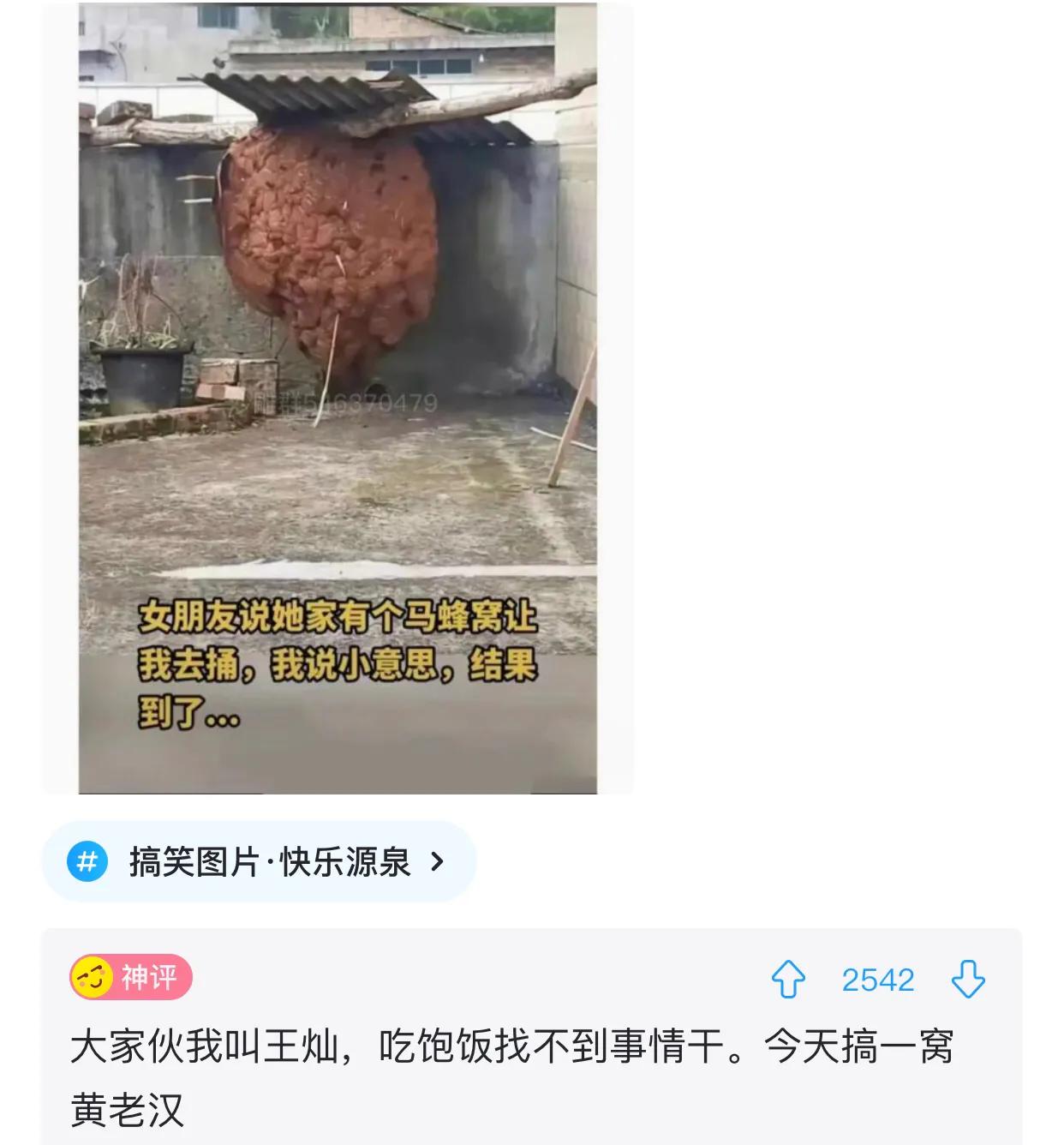 伴娘蹲角落里玩手机,伴娘躲在角落玩手机很漂亮