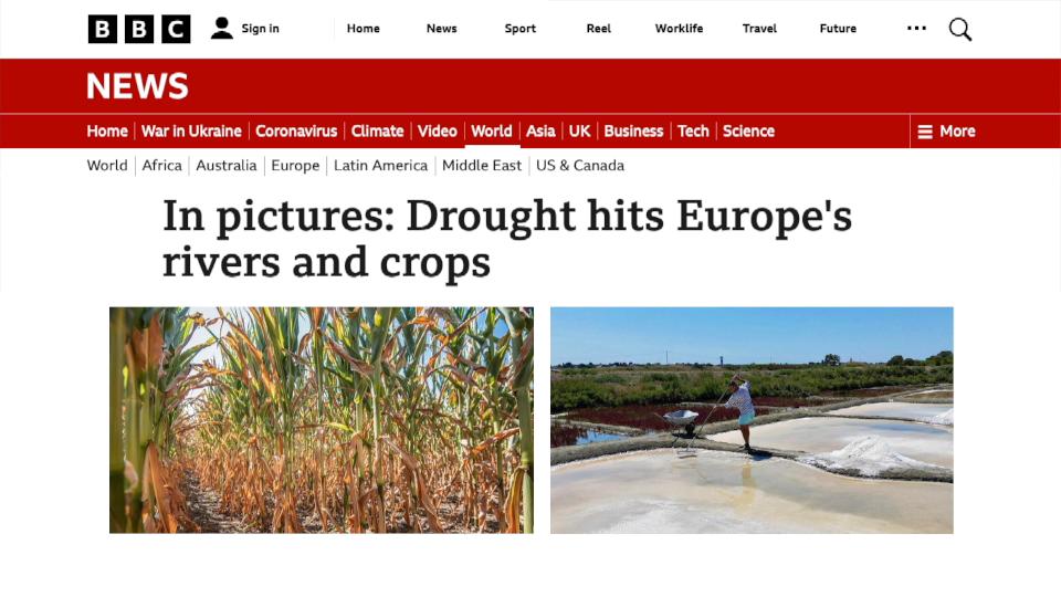 香港海域突现百万鲳鱼，背后原因令人唏嘘