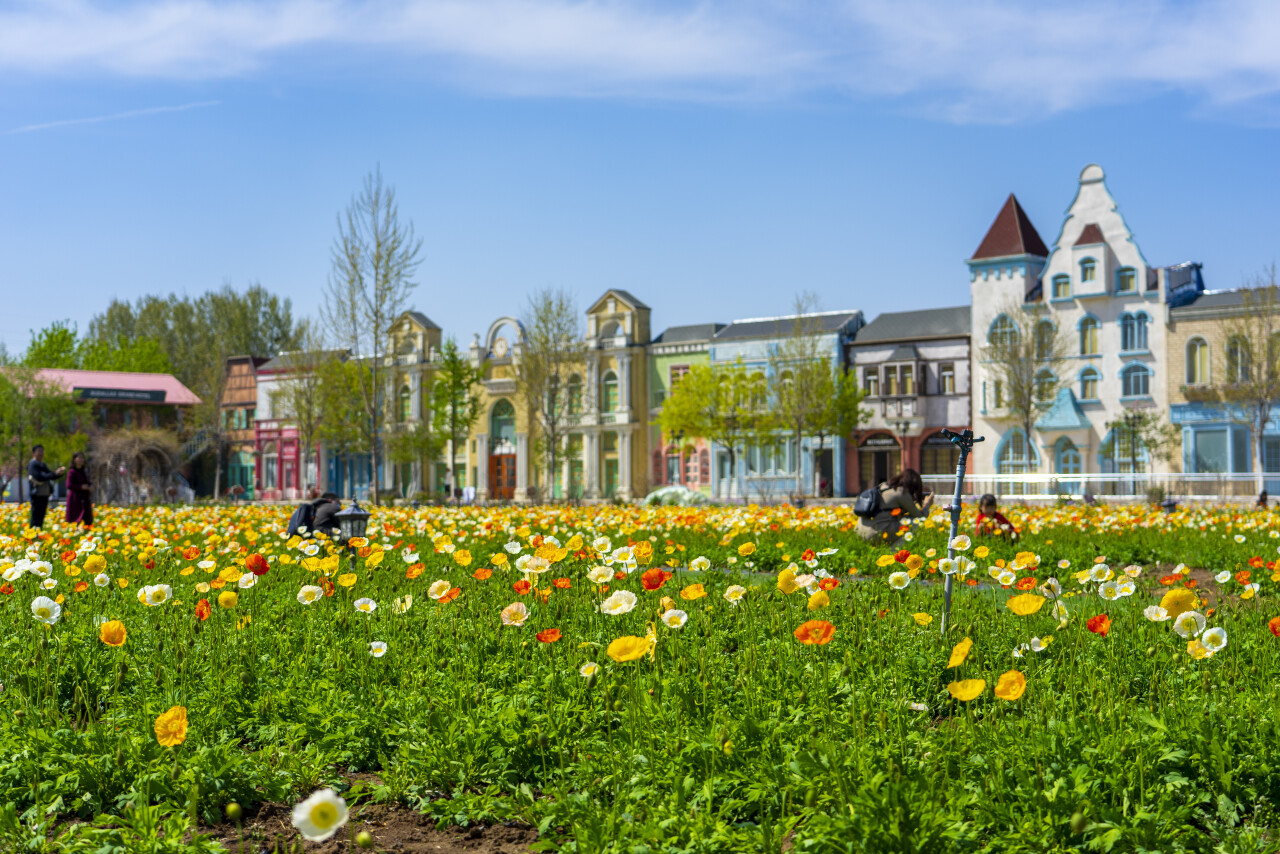 济南免门票推荐,济南小众打卡圣地夏季
