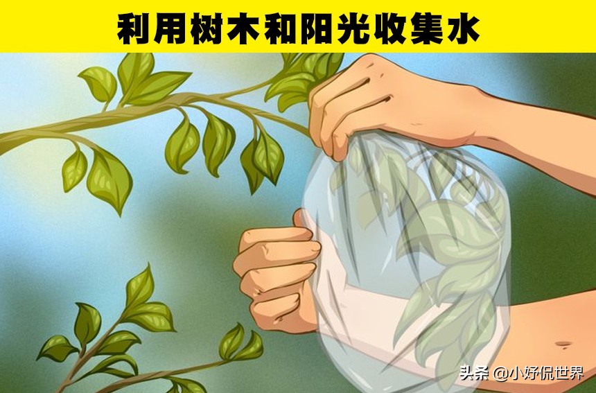 假如在野外迷了路你该怎么办,要是在野外迷了路怎样才能回家