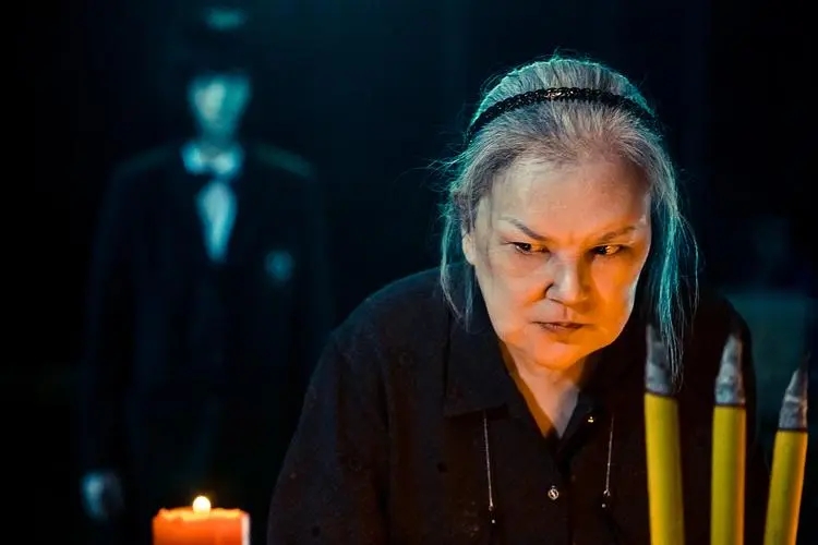 最失败硅胶脸的女星,硅胶脸女明星排行