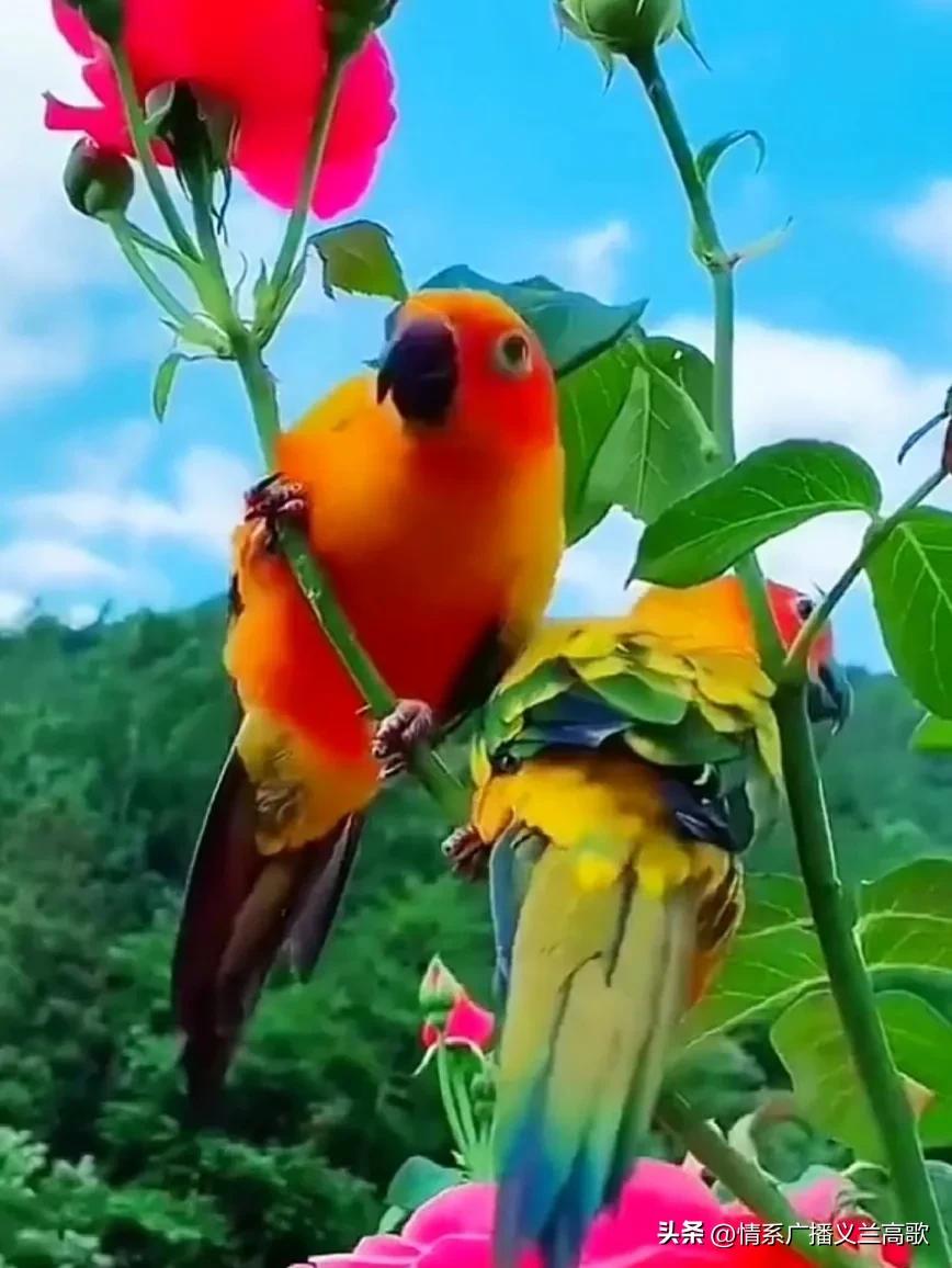 三十多岁儿子偷走母亲25万元,儿子偷母亲贴身衣物被抓