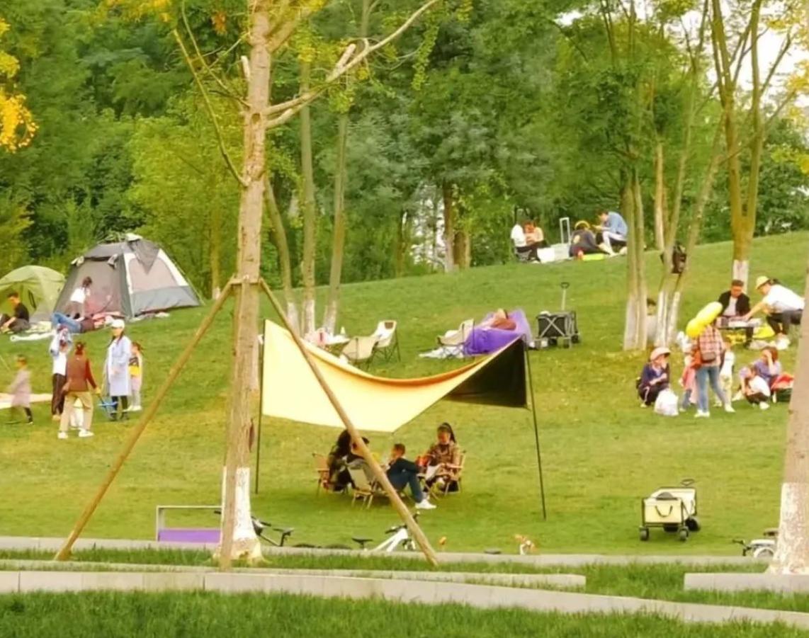 成都周边赏花露营地推荐,成都夏日露营地推荐