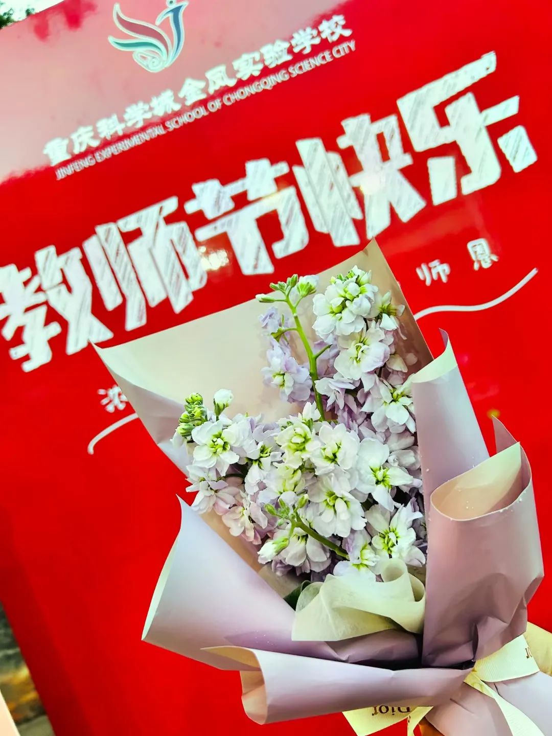 重庆科学城金凤实验学校运动会,金凤区教师节表彰大会