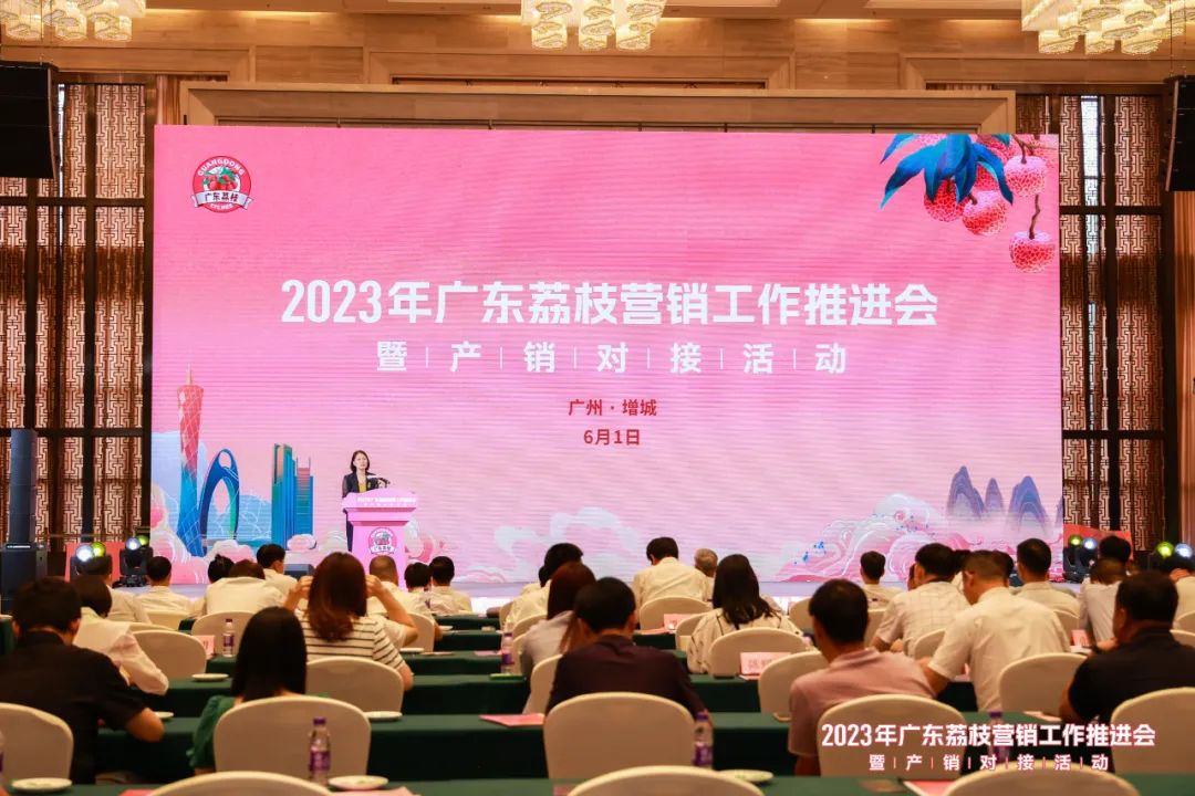 喊全球吃广东荔枝！2023年广东荔枝营销工作推进会暨产销对接活动在广州增城举办