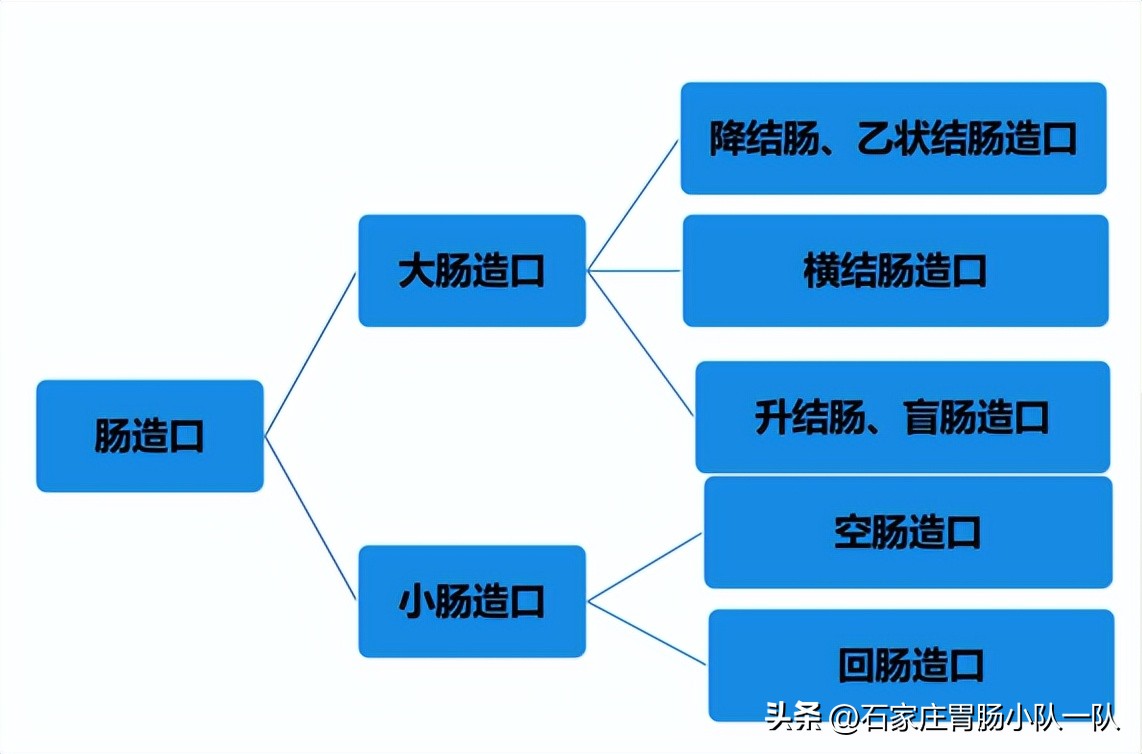 肠造口疝科普视频,肠造口科普知识简介