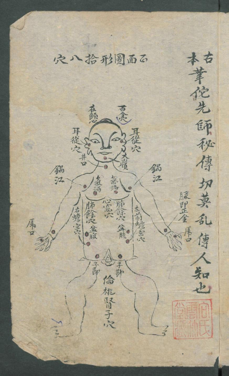 华佗仙师秘传01,华佗仙师秘传全集