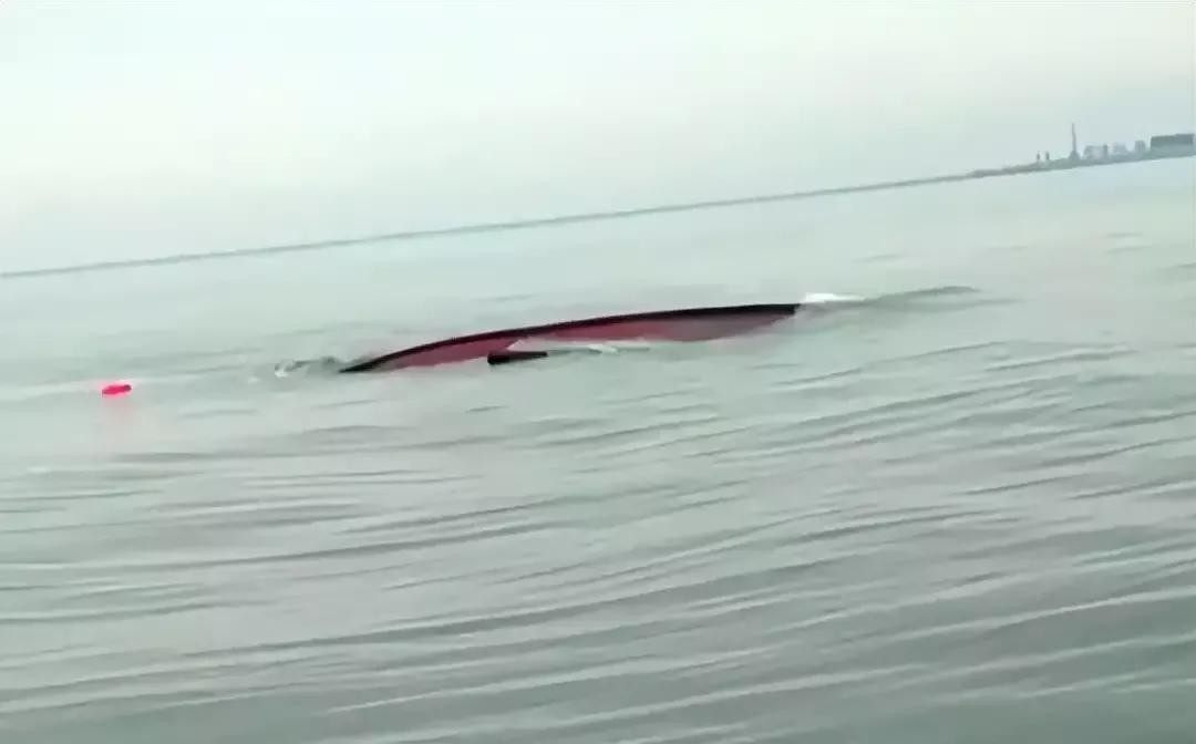 男子举报唐山海霸撞船致5死藏尸,唐山海霸撞船致5死后续