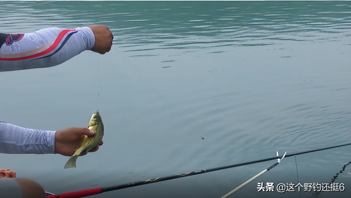 野钓钓鱼技巧选钓位和时间,春末钓鱼技巧选钓位和时间