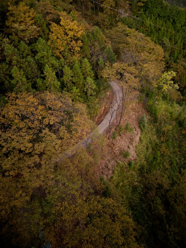 没有谁天生要强下一句,没有谁天生强势完整版