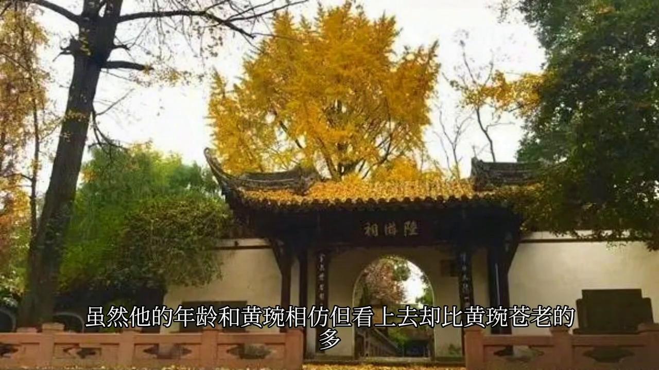 三国之召唤猛将第一章,三国之召唤猛将大结局