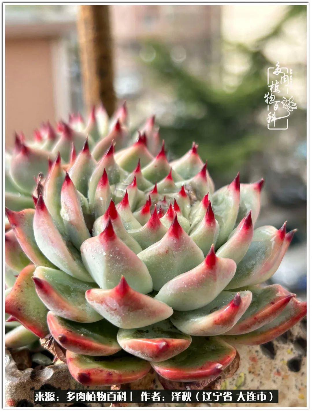 四季轮回之秋天,四季轮回之冬季